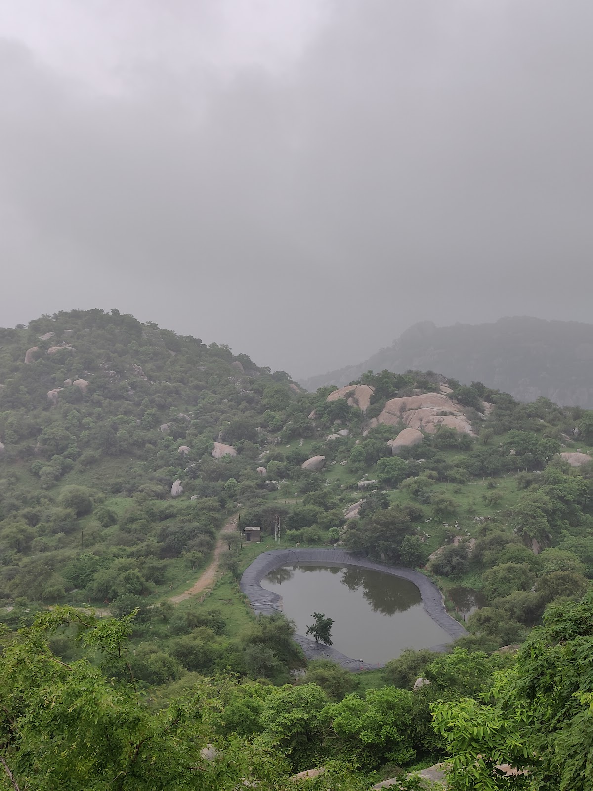 Taranga Hills