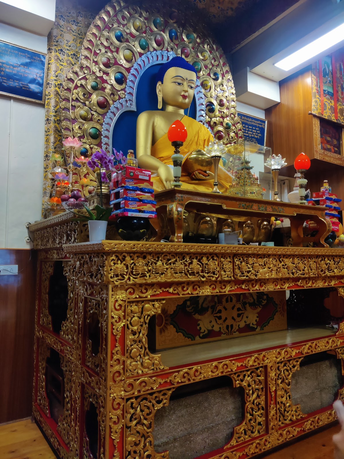 Tibetan Museum