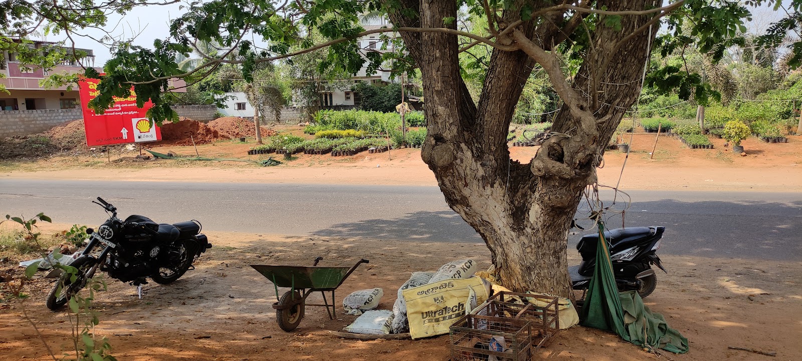 Guntur Botanical Gardens