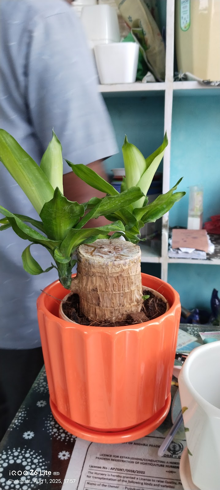 Guntur Botanical Gardens