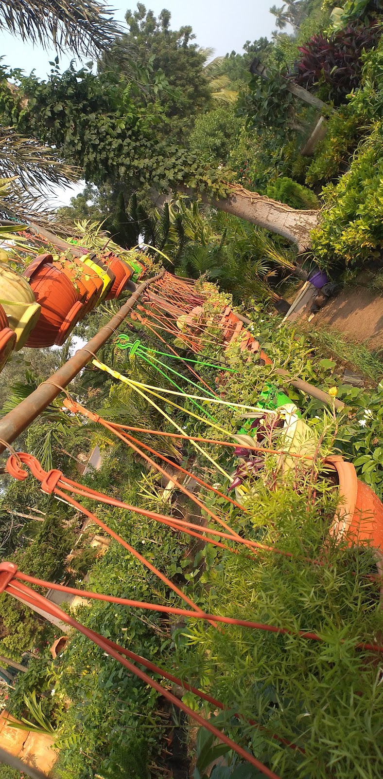 Guntur Botanical Gardens
