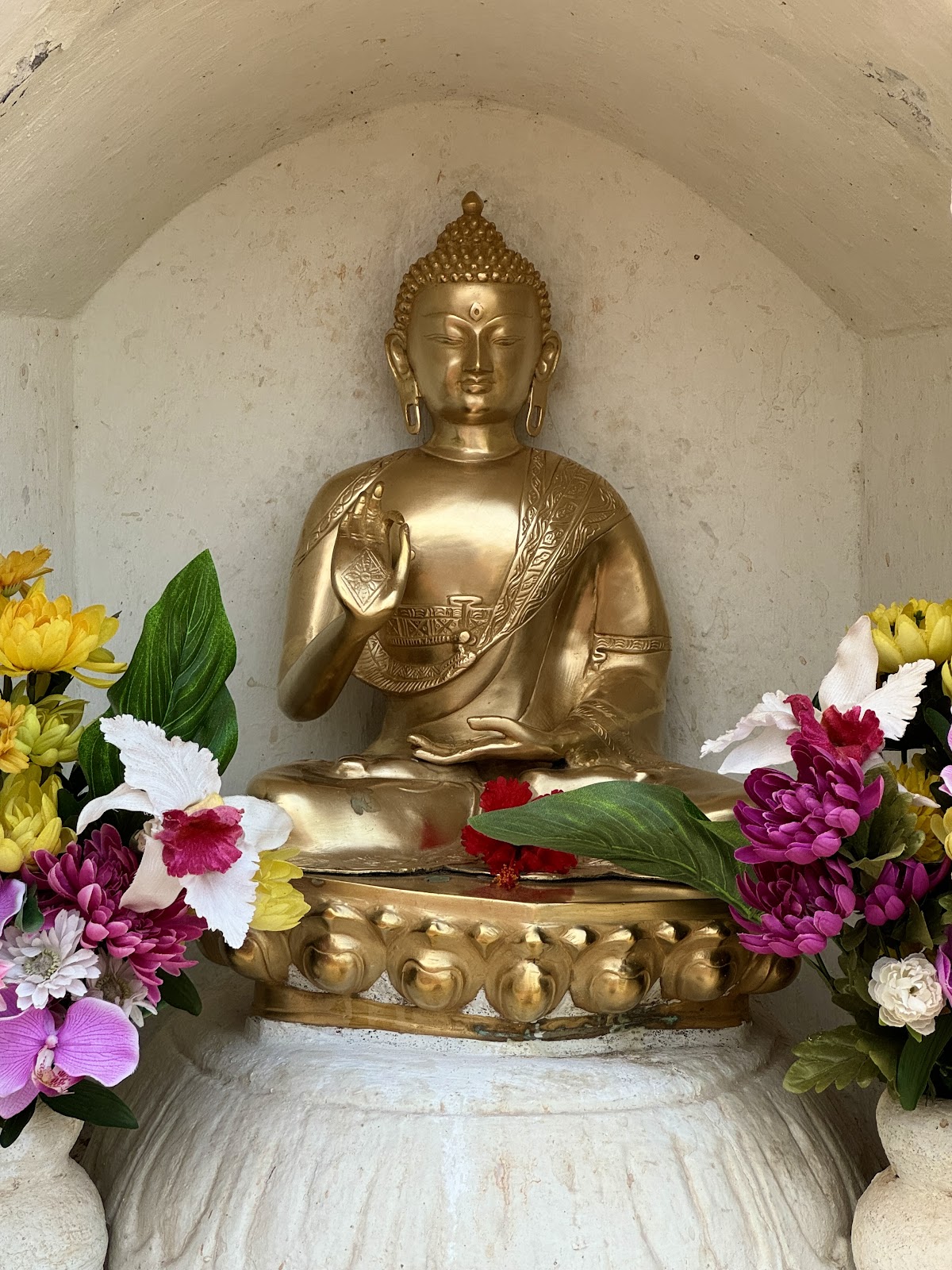 Buddha Vihar
