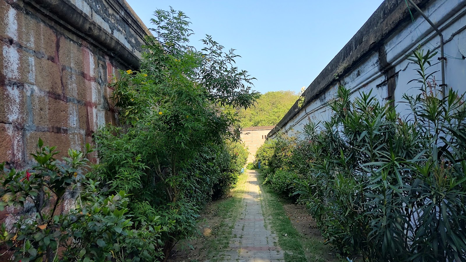Kasi Viswanathar Temple