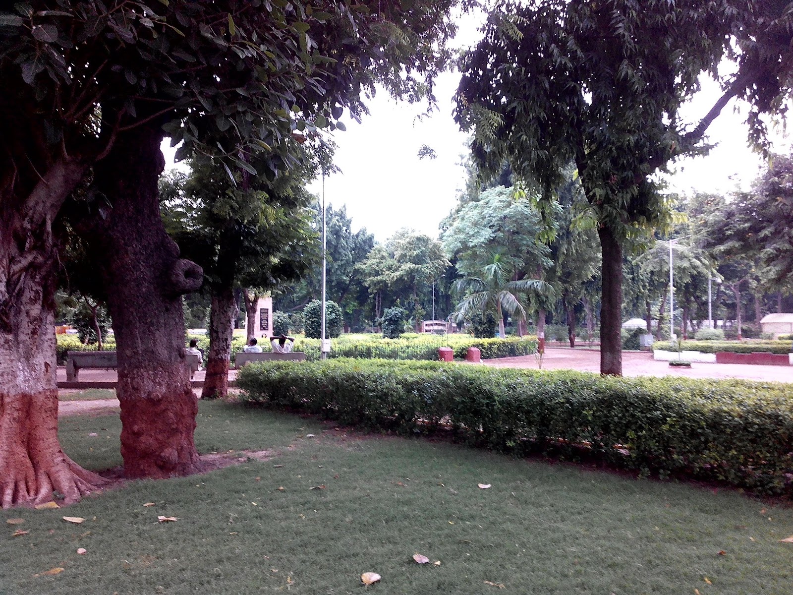 Children Park Thasra