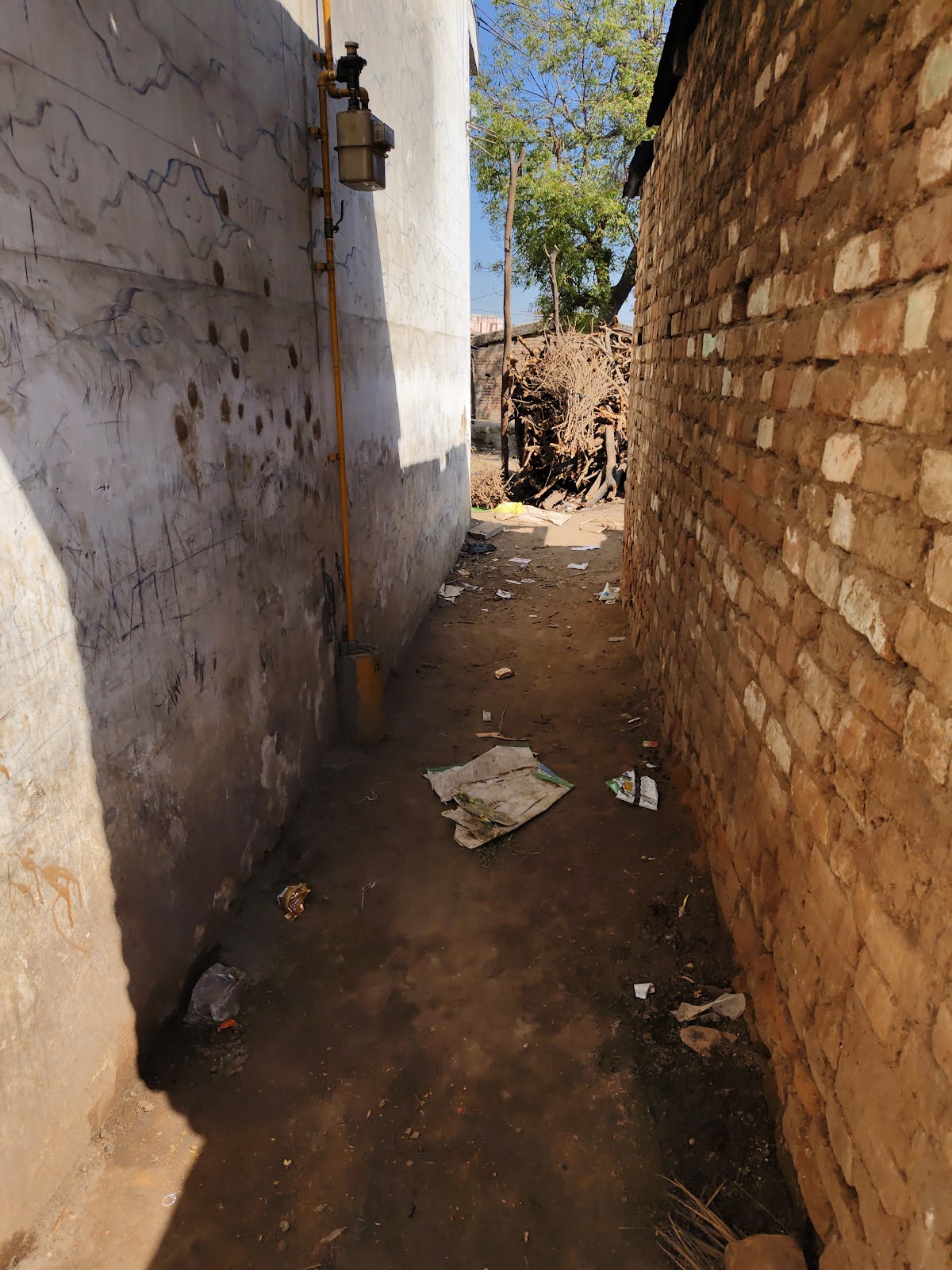 Shree Swaminarayan Temple Thasra