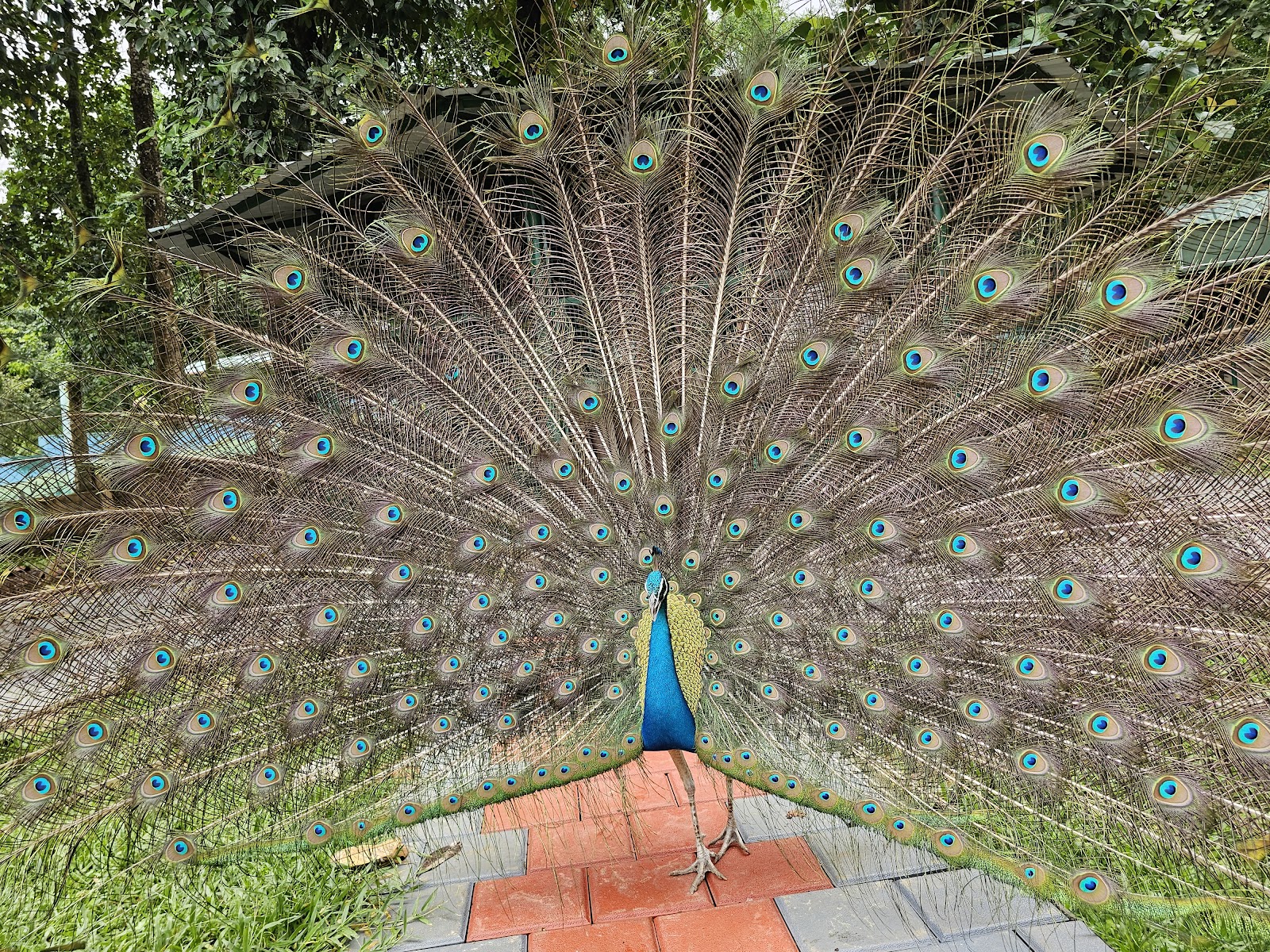 Salim Ali Bird Sanctuary