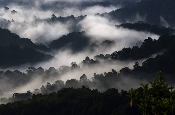 Silent Valley National Park