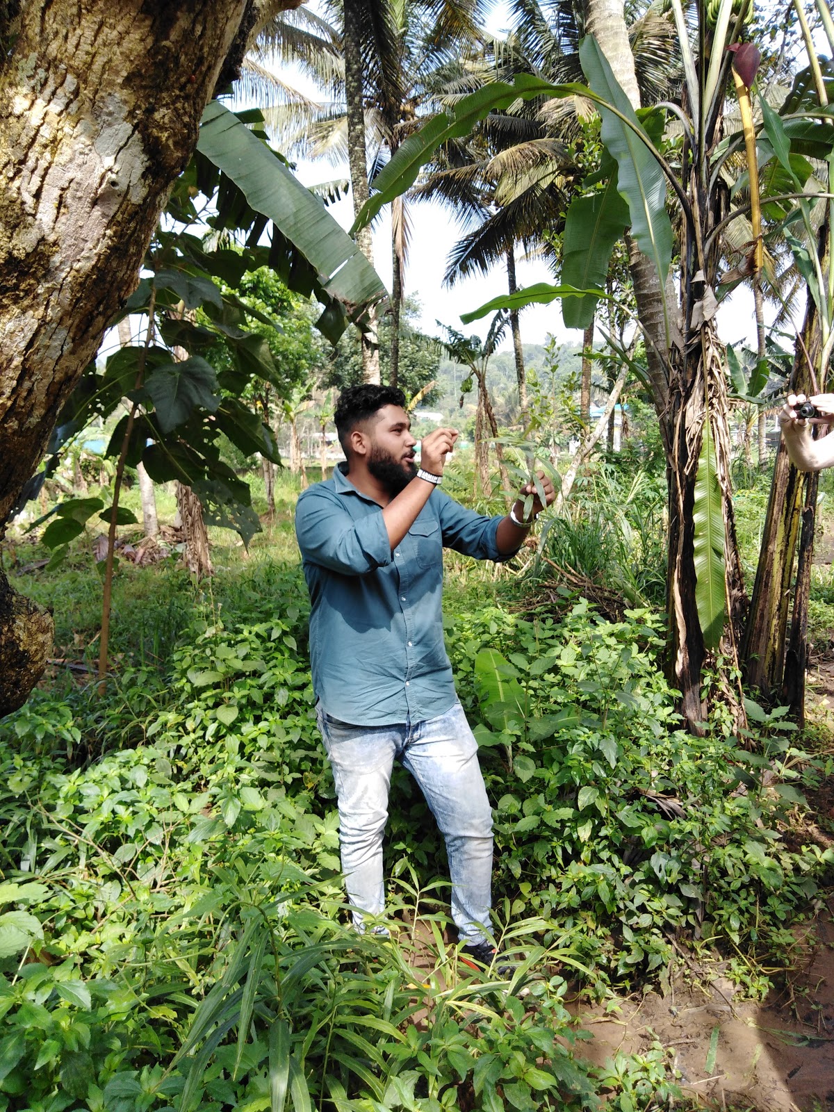 Spice Plantation Tour