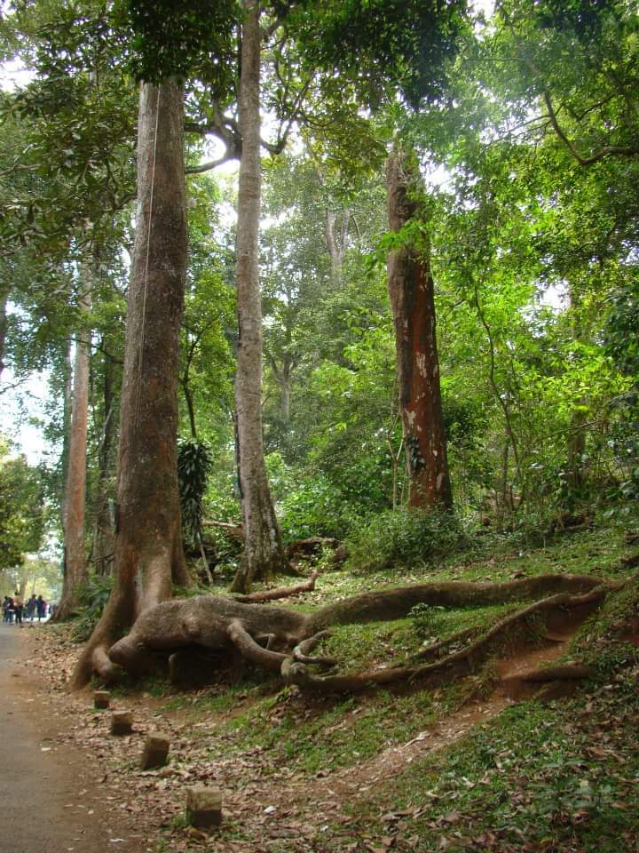 Periyar Tiger Trail Information Centre