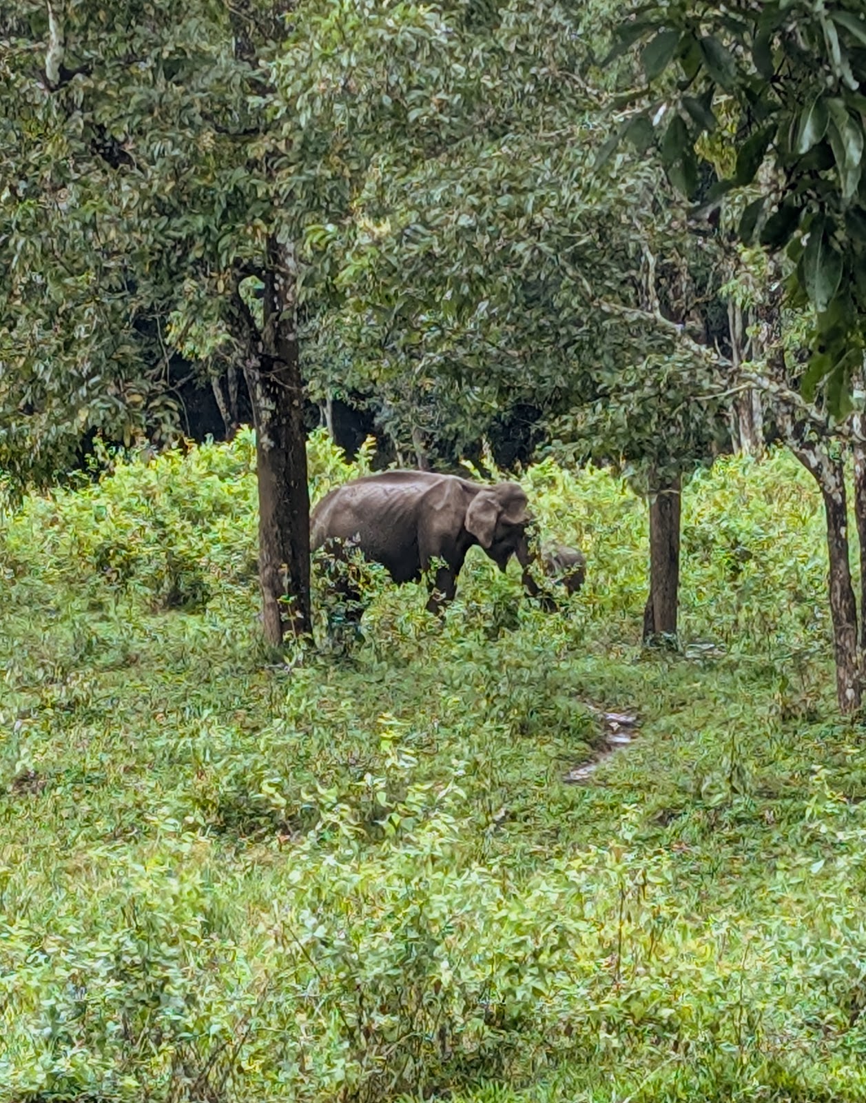 Periyar Tiger Trail Information Centre