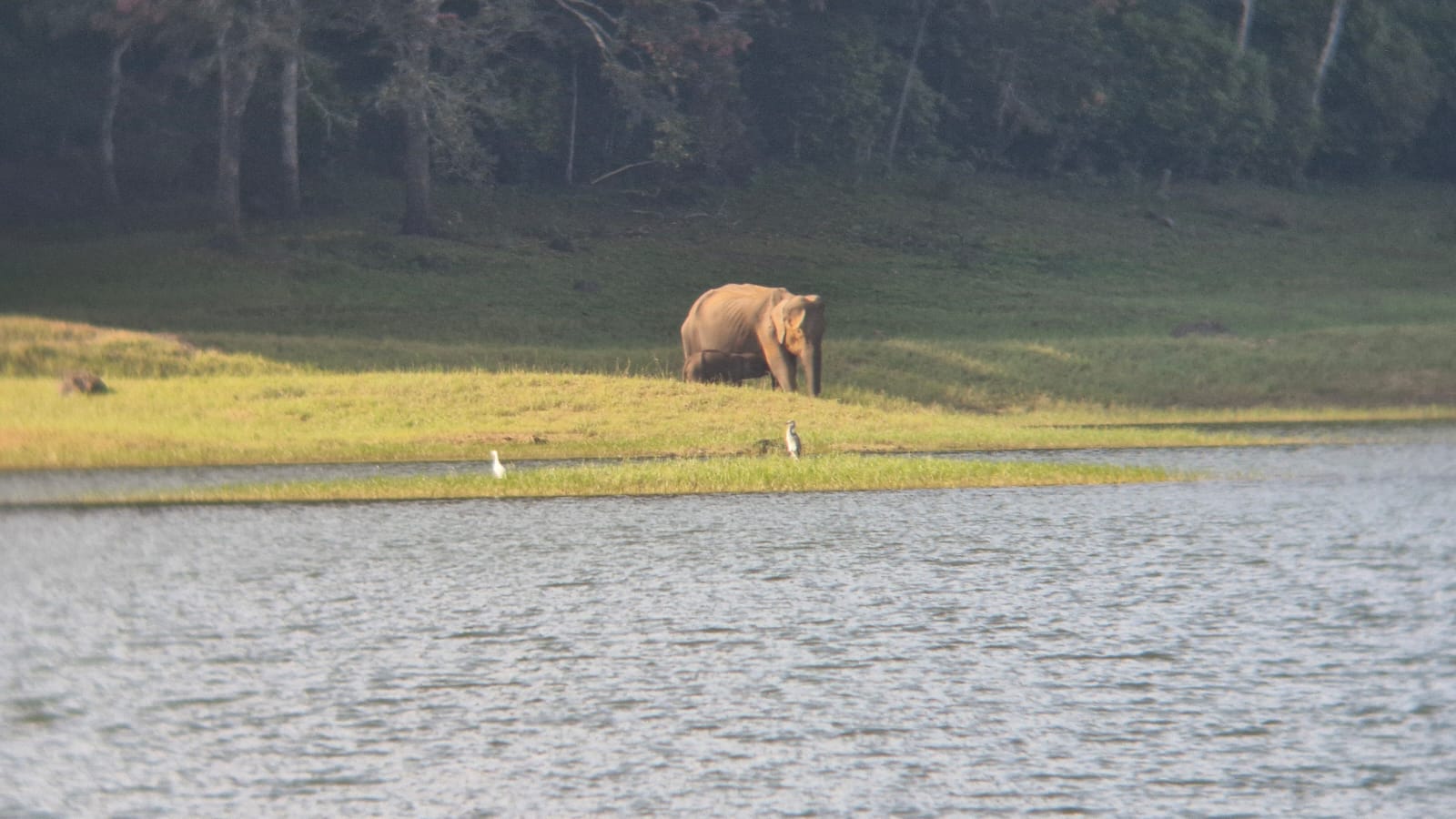 Periyar Tiger Trail Information Centre