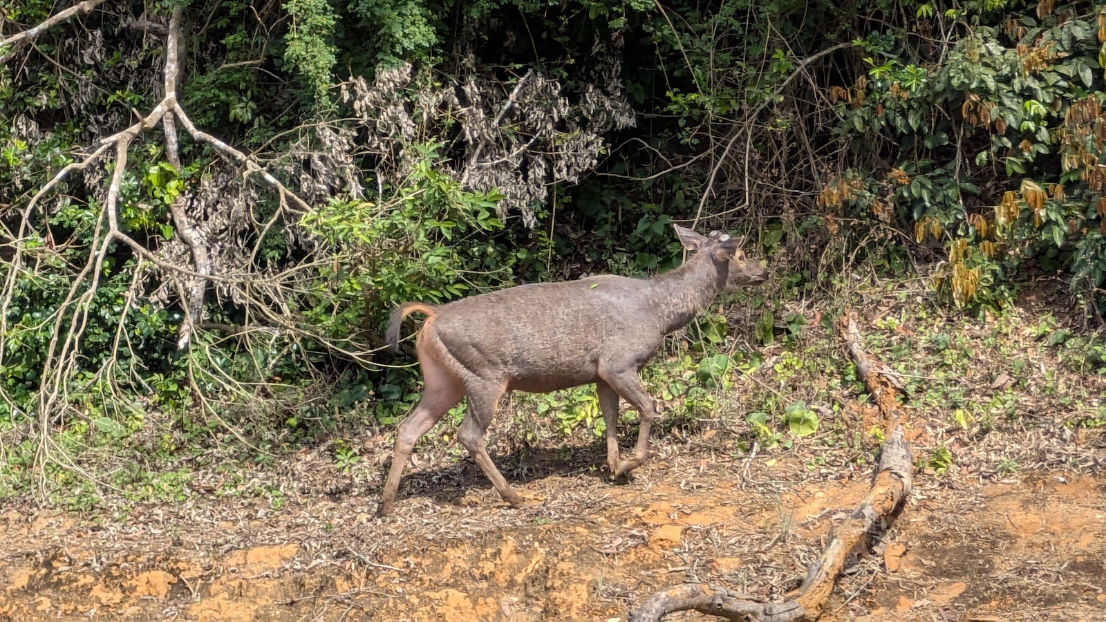 Periyar Tiger Trail Information Centre