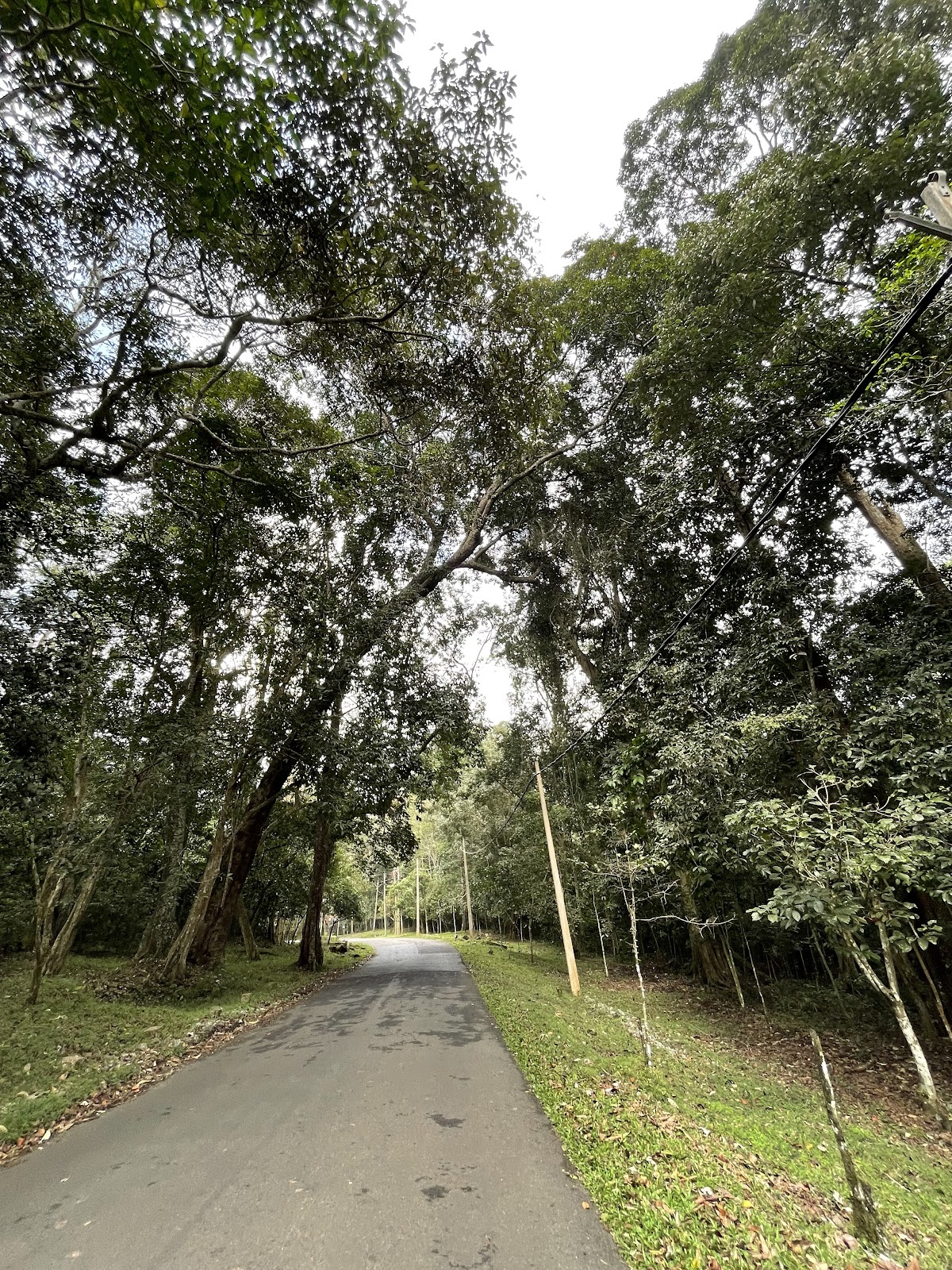 Periyar Tiger Trail Information Centre