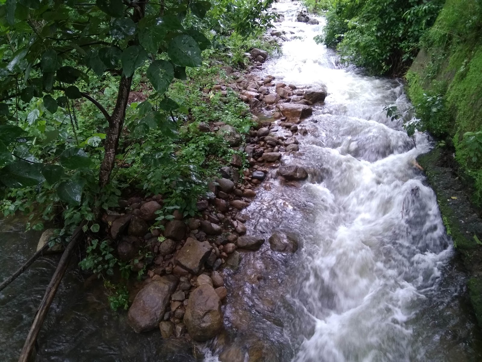 Kumbhavurutty Waterfall