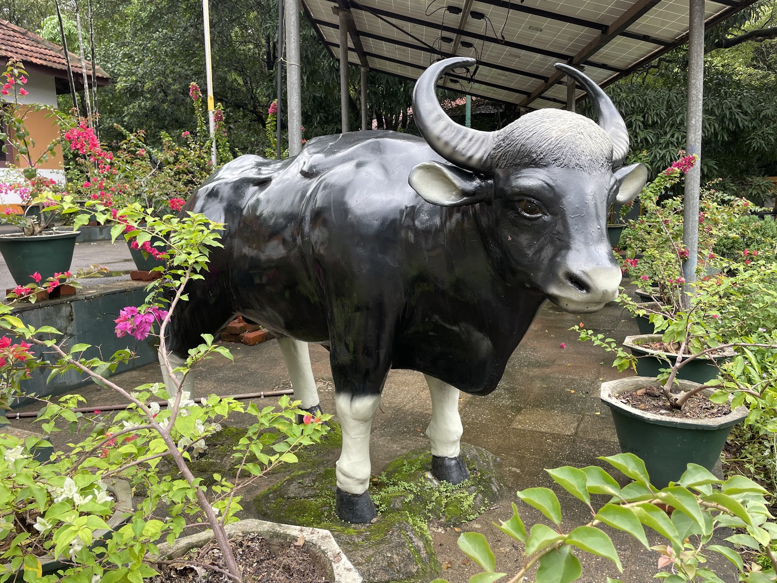 Shenduruny Wildlife Sanctuary