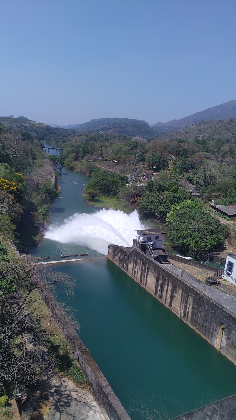 Thenmala Bamboo Grove