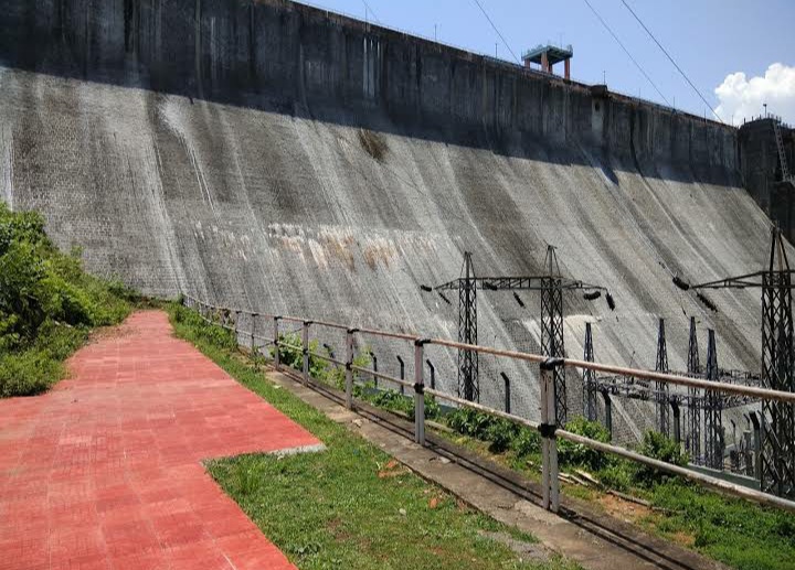 Thenmala Bamboo Grove