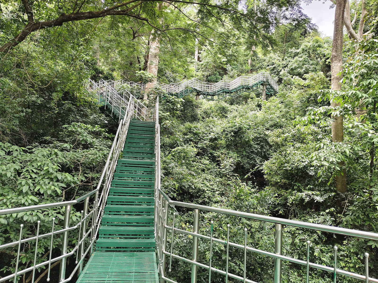 Thenmala Bamboo Grove