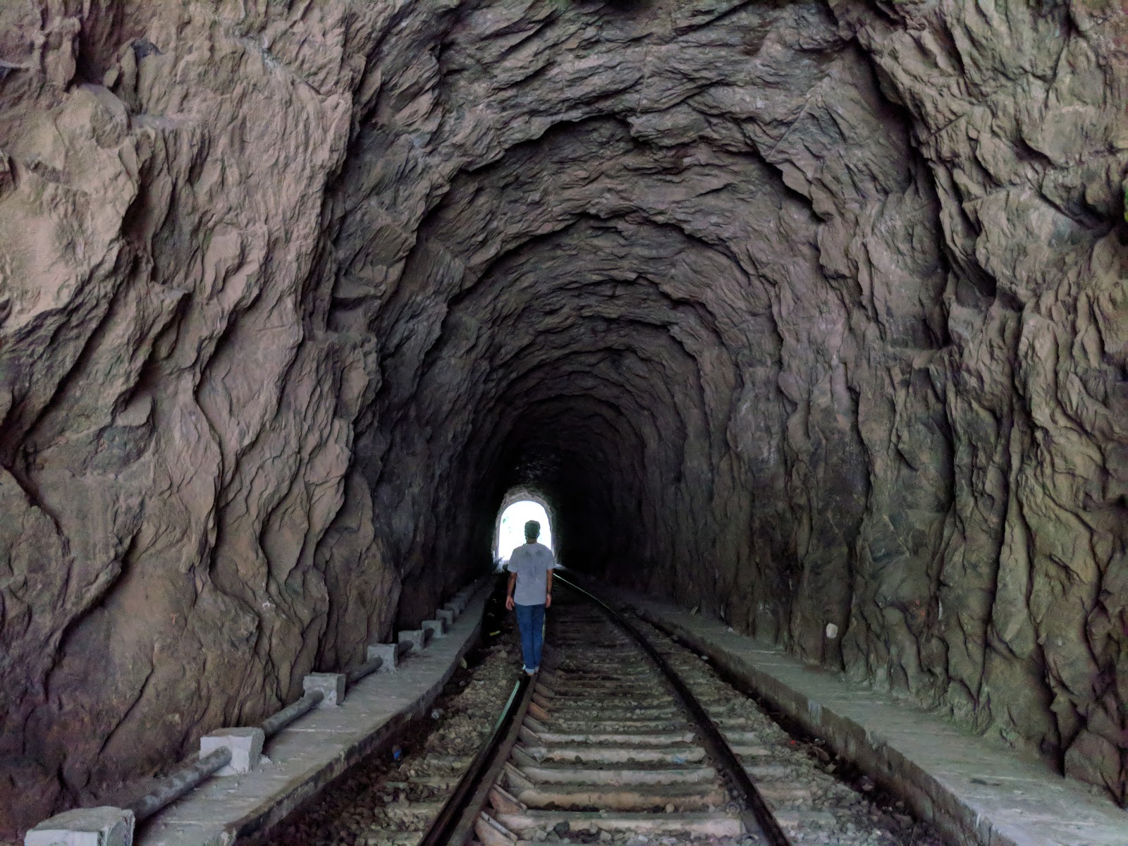 Thenmala Bamboo Grove