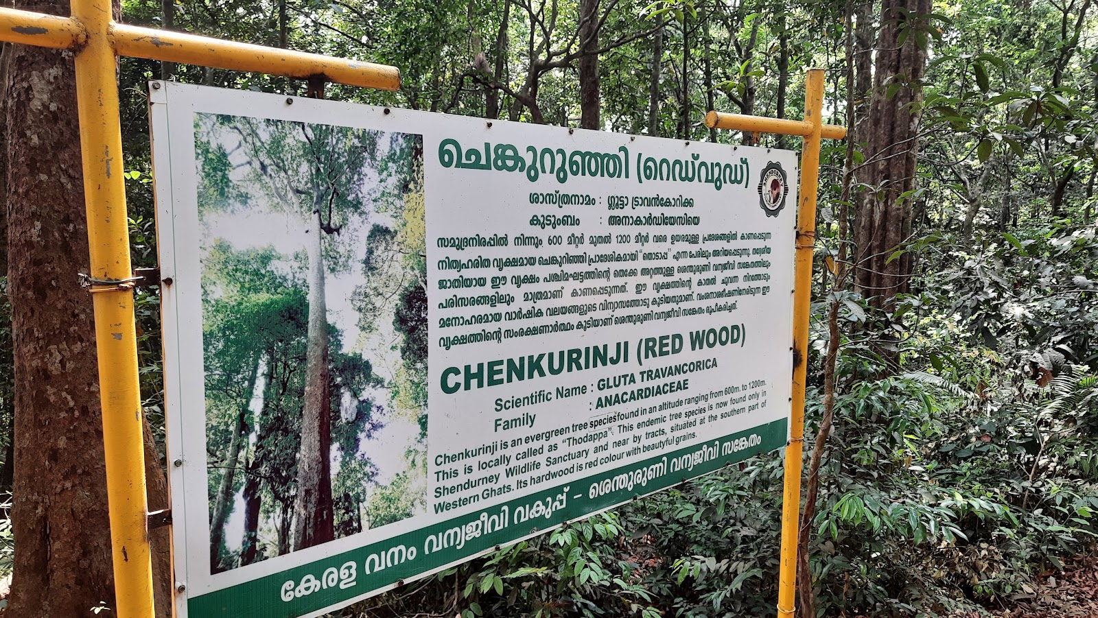 Chenduruny Wildlife Sanctuary