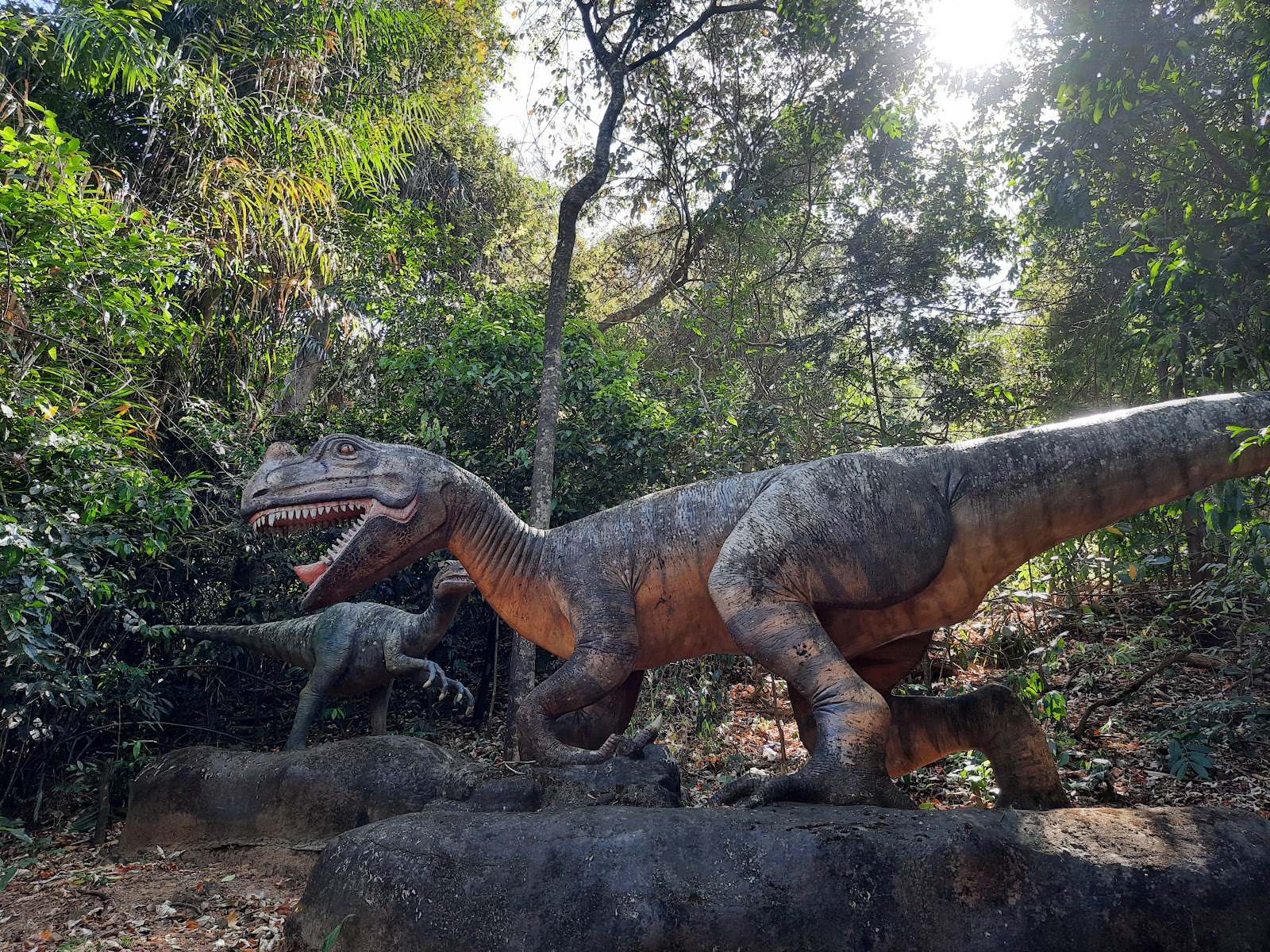 Thenmala Eco-Tourism Project