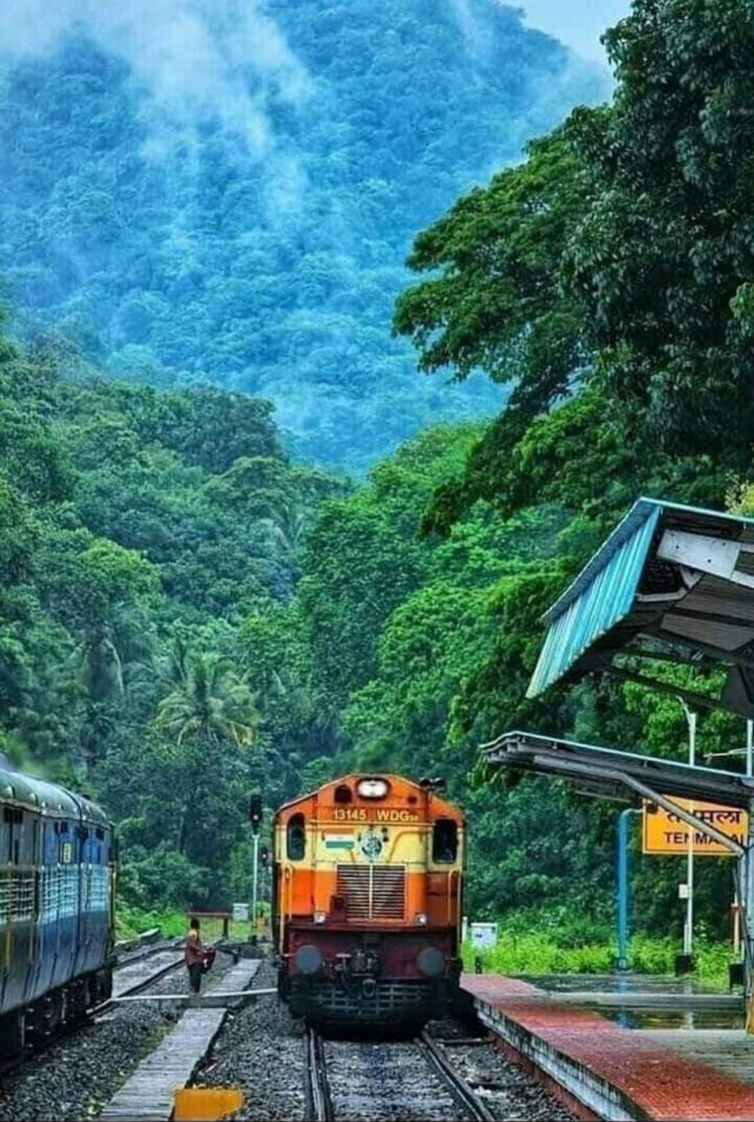 Thenmala Wildlife Sanctuary