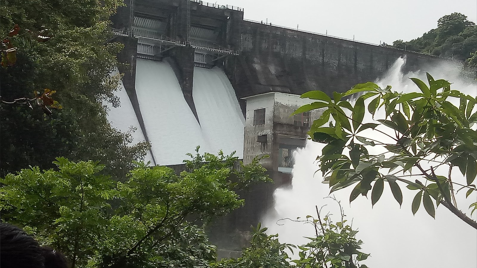 Thenmala Wildlife Sanctuary