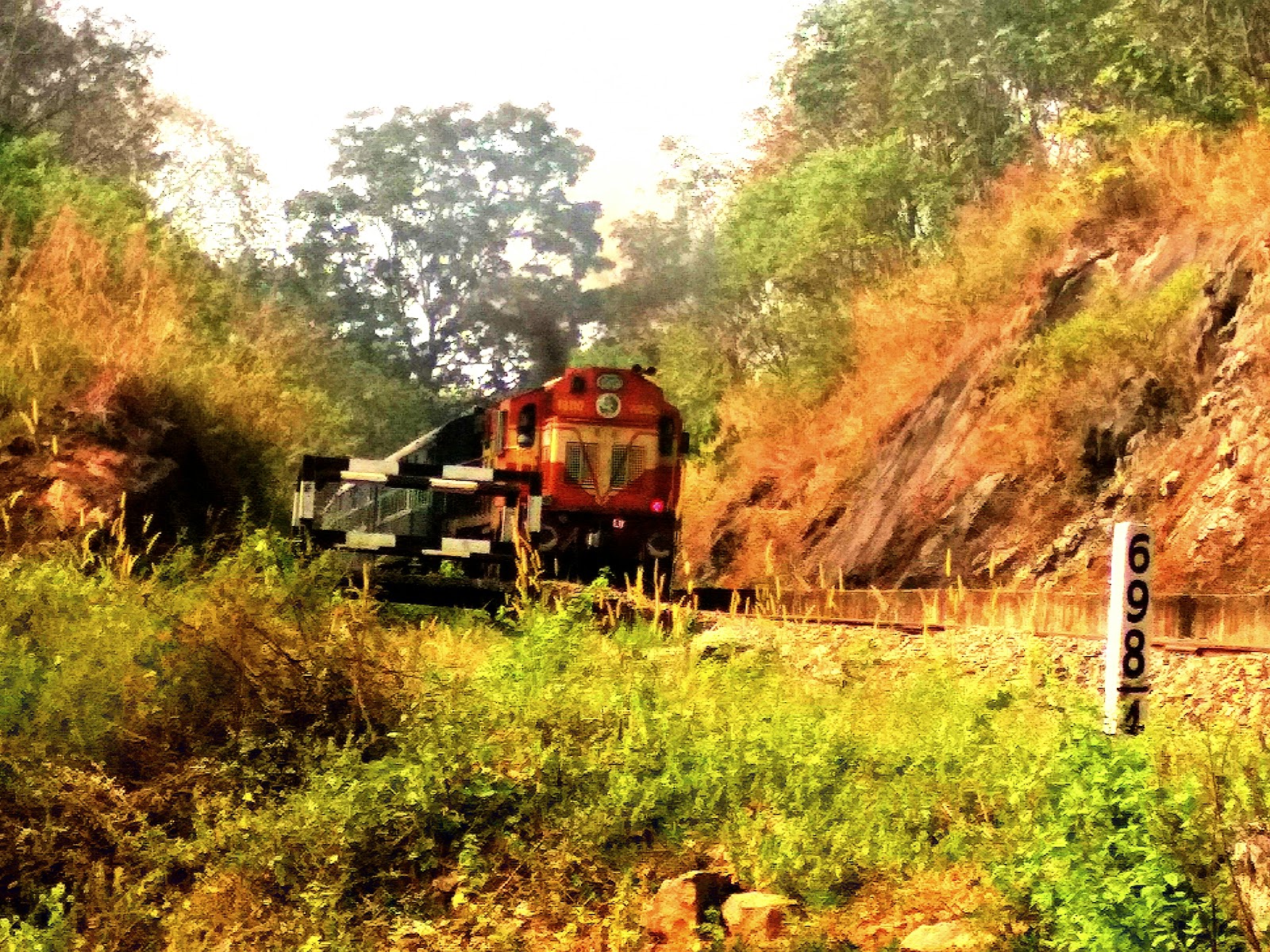 Thenmala Wildlife Sanctuary