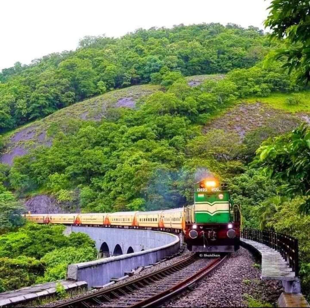 Thenmala Wildlife Sanctuary