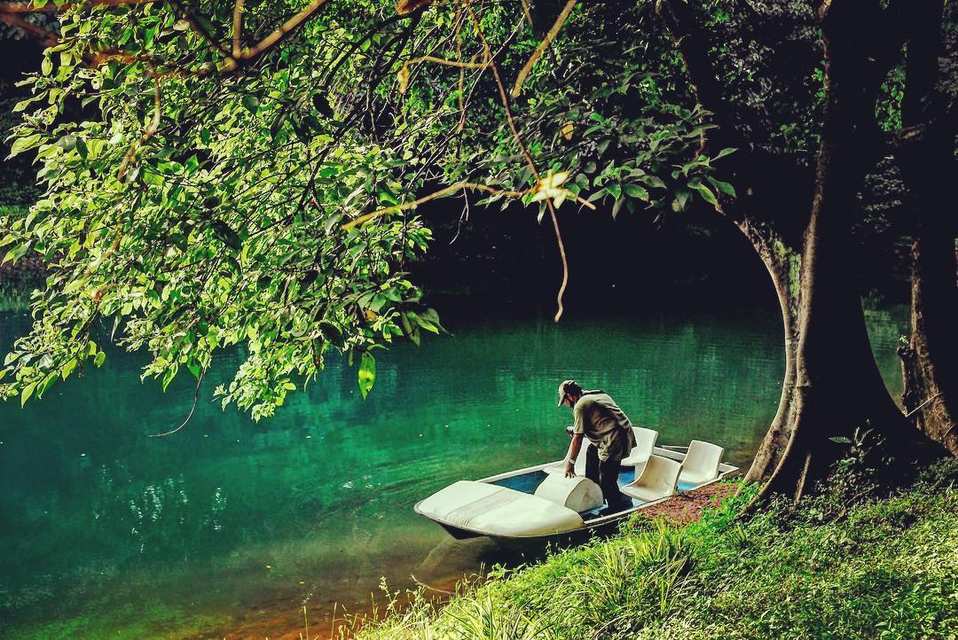 Thenmala Wildlife Sanctuary