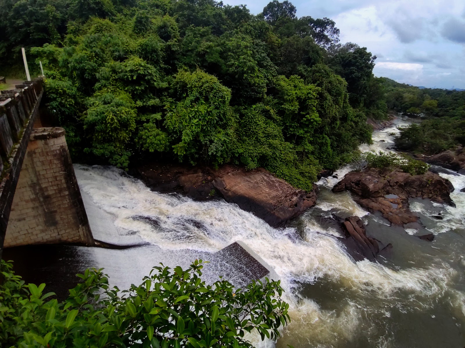 Thenmala Wildlife Sanctuary