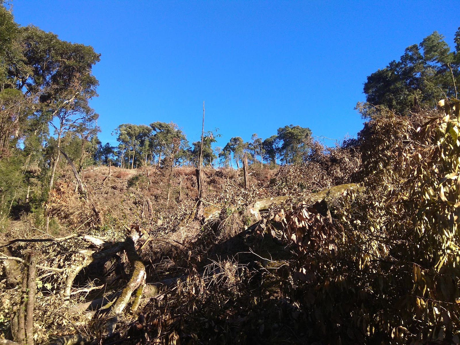 Khawnglung Wildlife Sanctuary