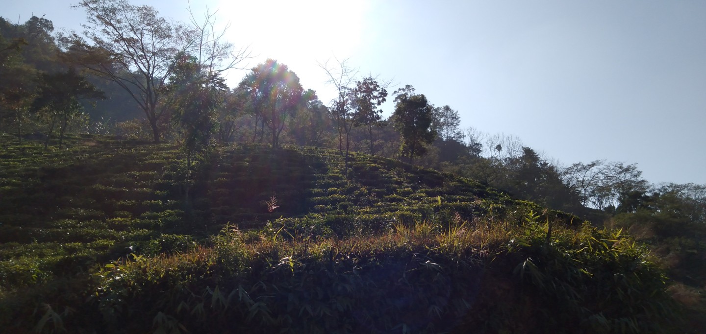 Khawnglung Wildlife Sanctuary