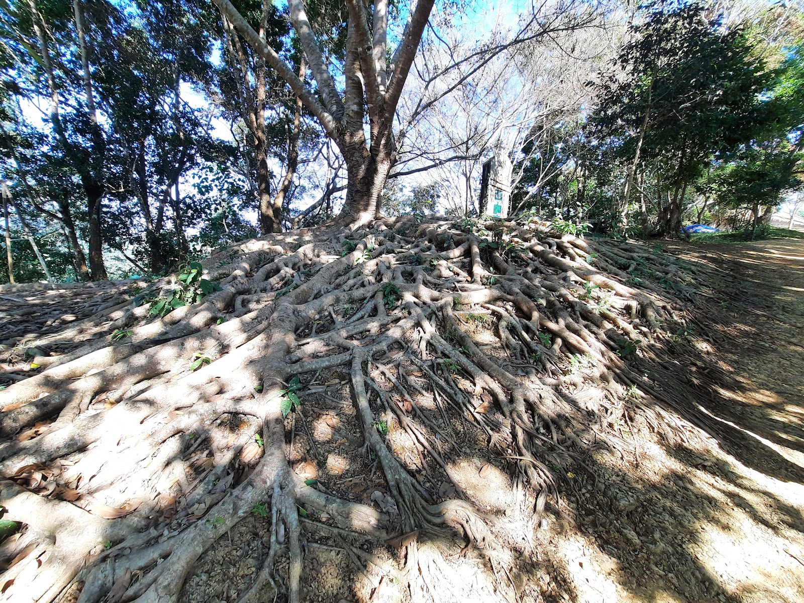 Mizo Heritage Village