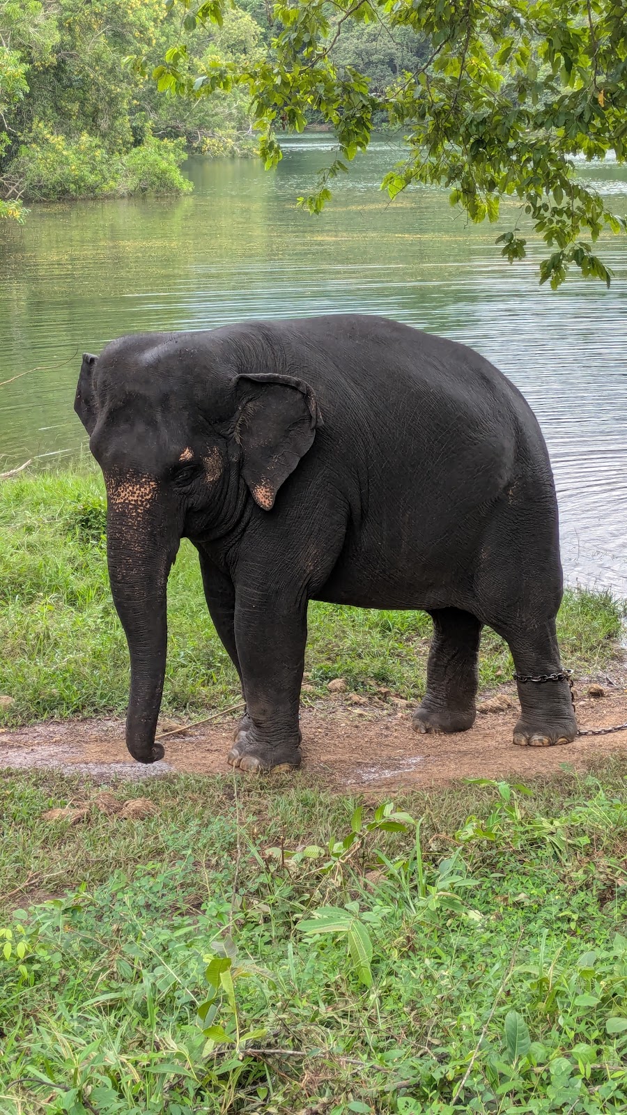 Neyyar Wildlife Sanctuary