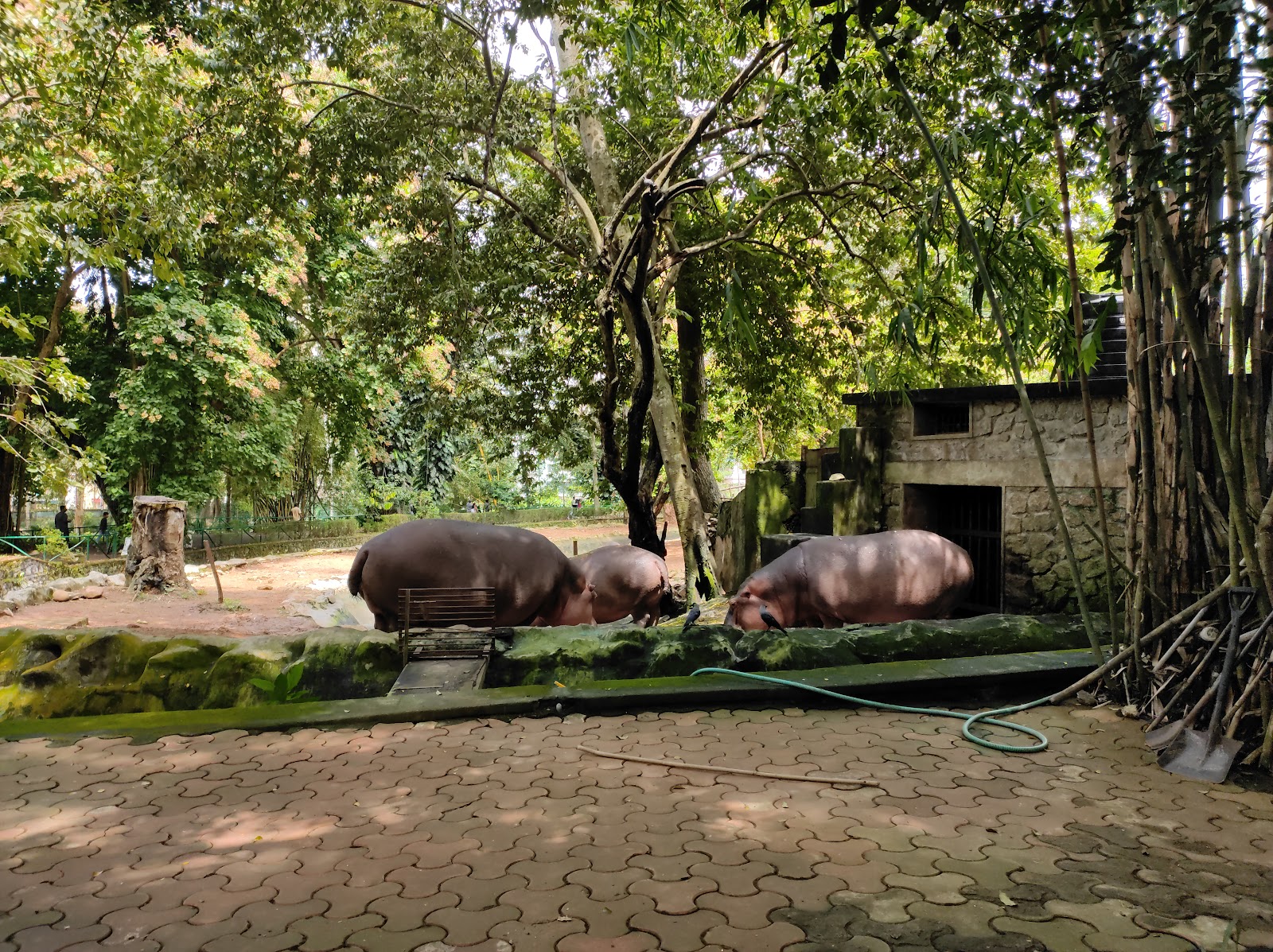 Thiruvananthapuram Zoo