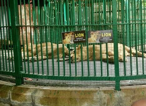 Thiruvananthapuram Zoo
