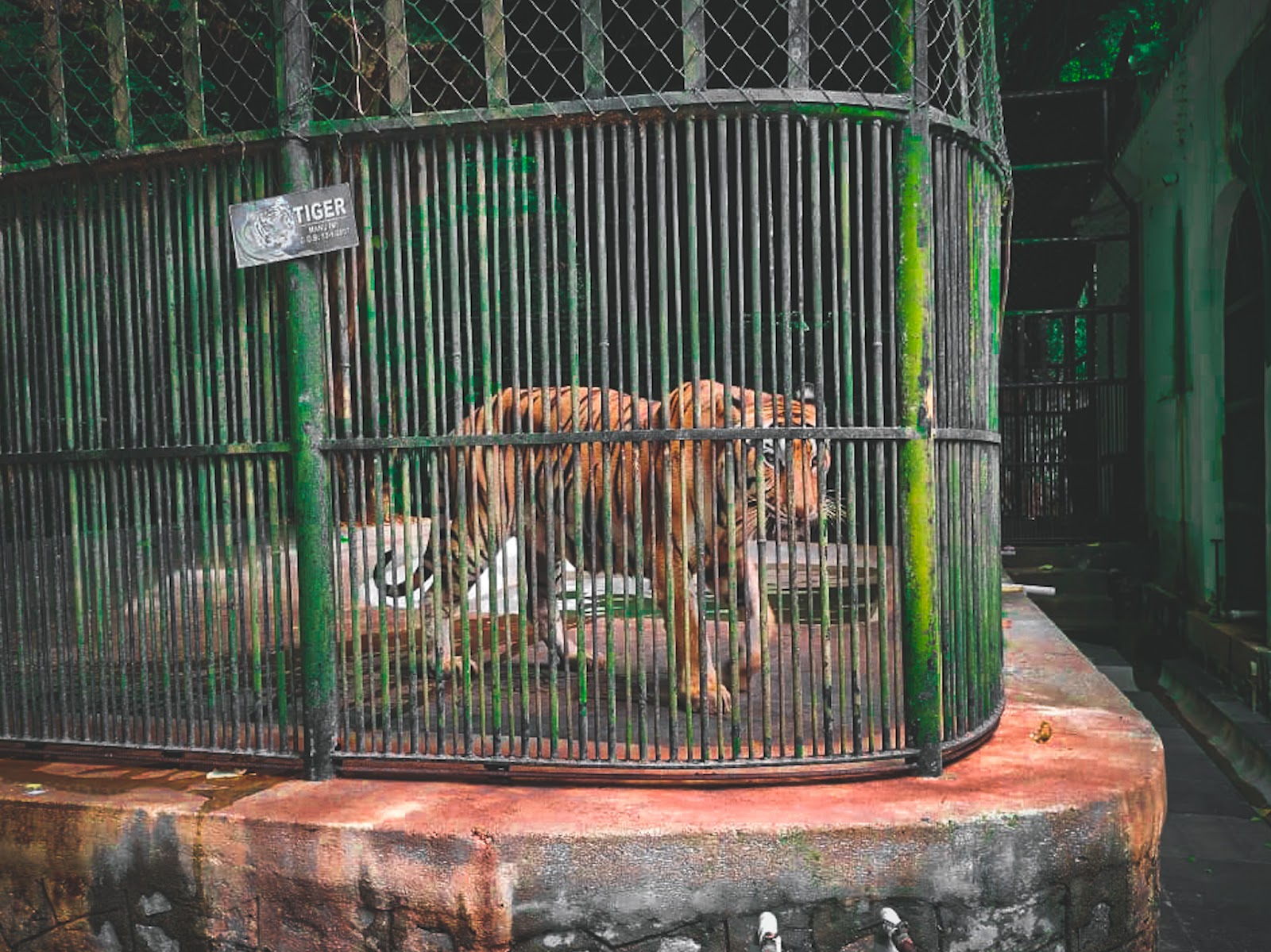Thiruvananthapuram Zoo