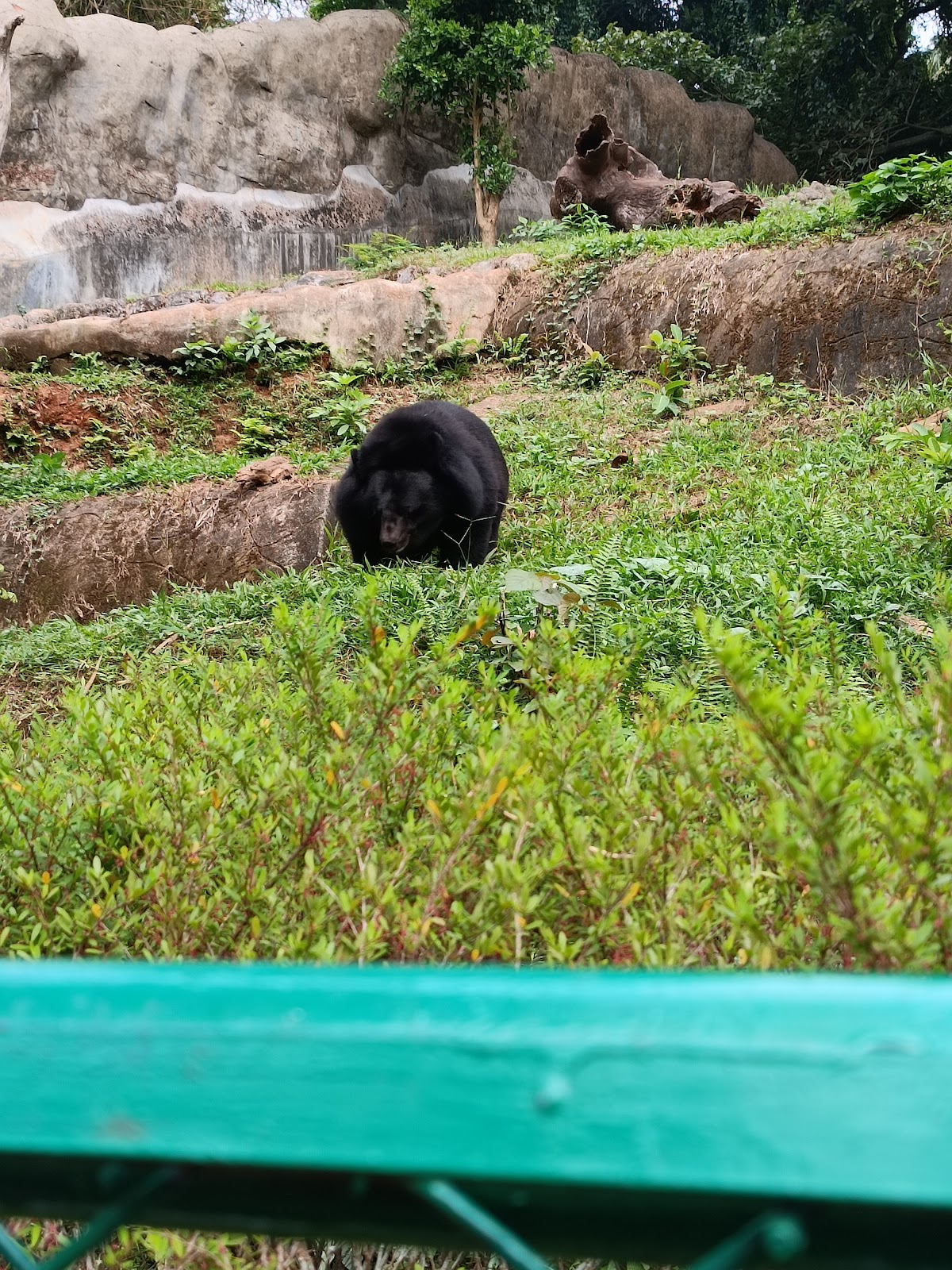 Thiruvananthapuram Zoo