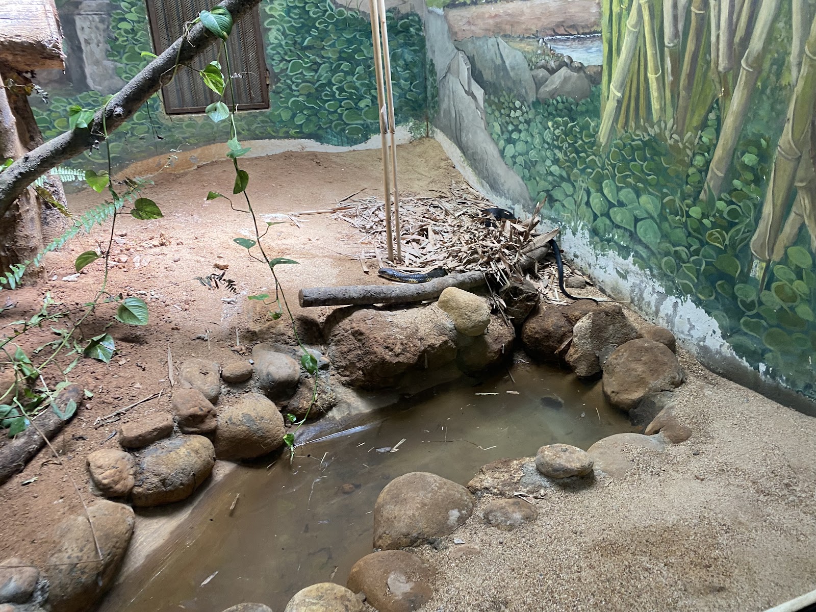 Thiruvananthapuram Zoo