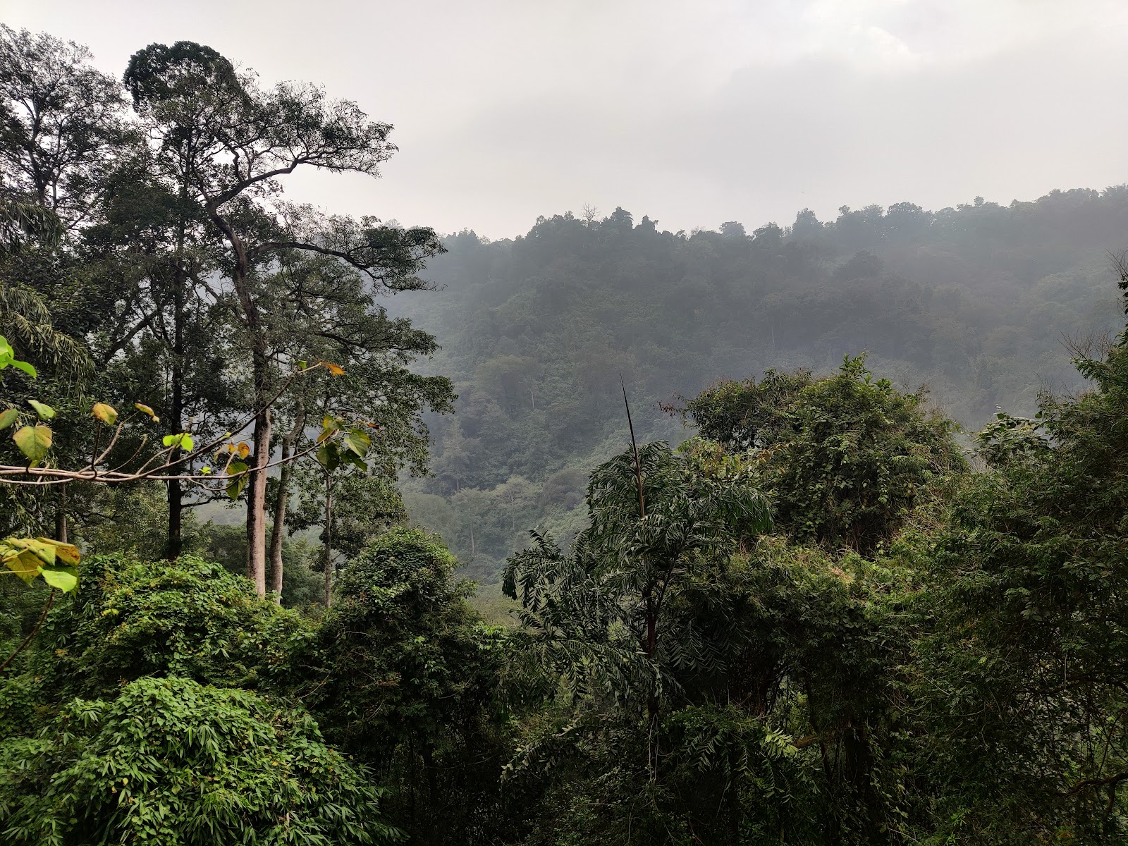 Cheeyappara Waterfalls