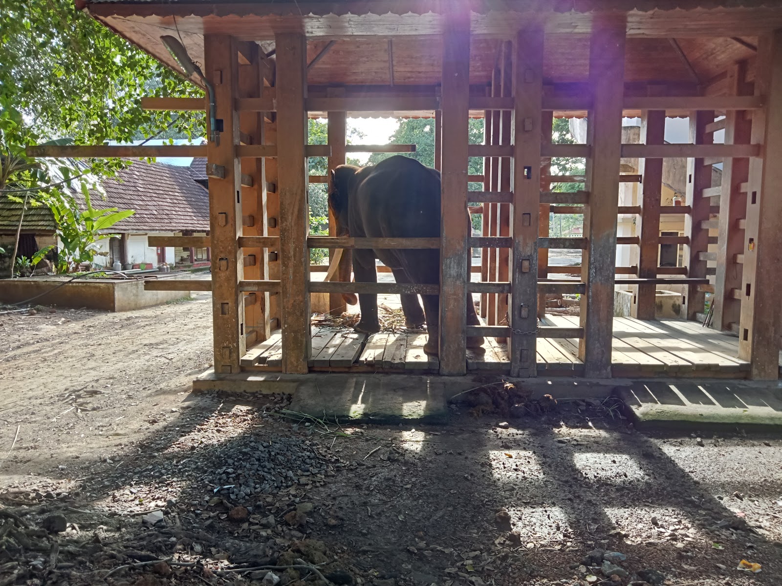 Punnathur Kotta Elephant Sanctuary