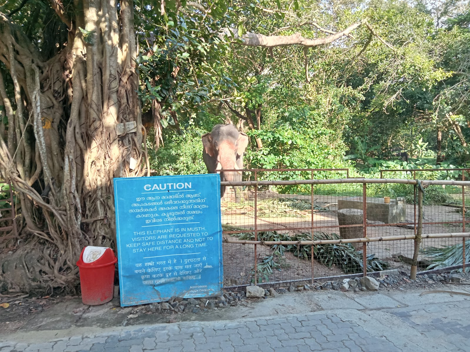 Punnathur Kotta Elephant Sanctuary