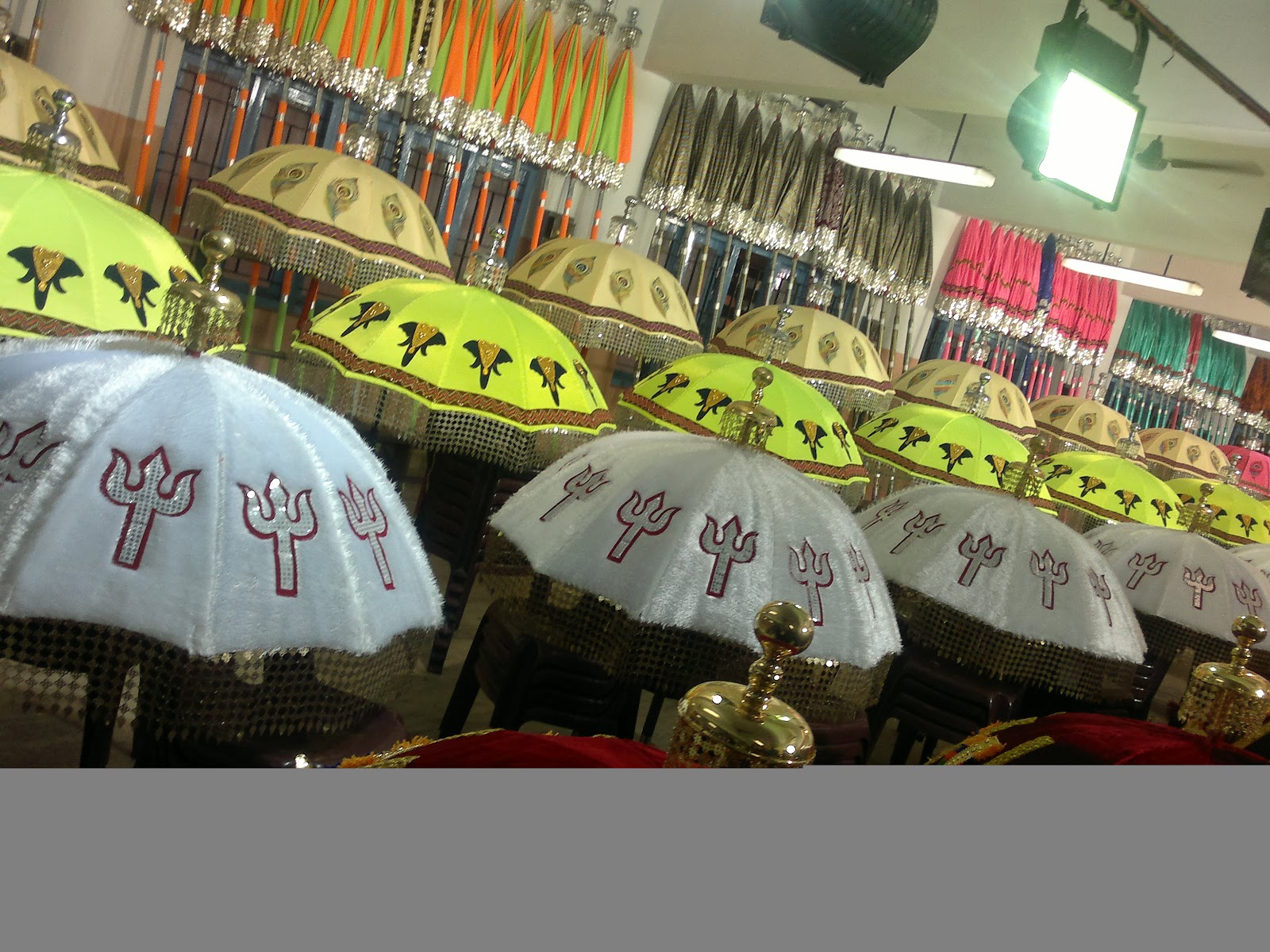 Thrissur Pooram Grounds