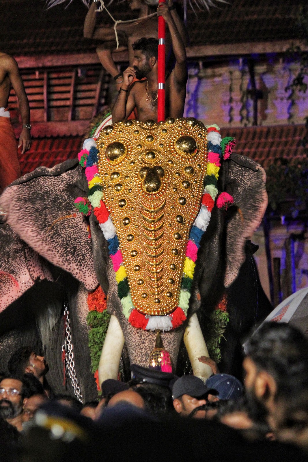 Thrissur Pooram Grounds