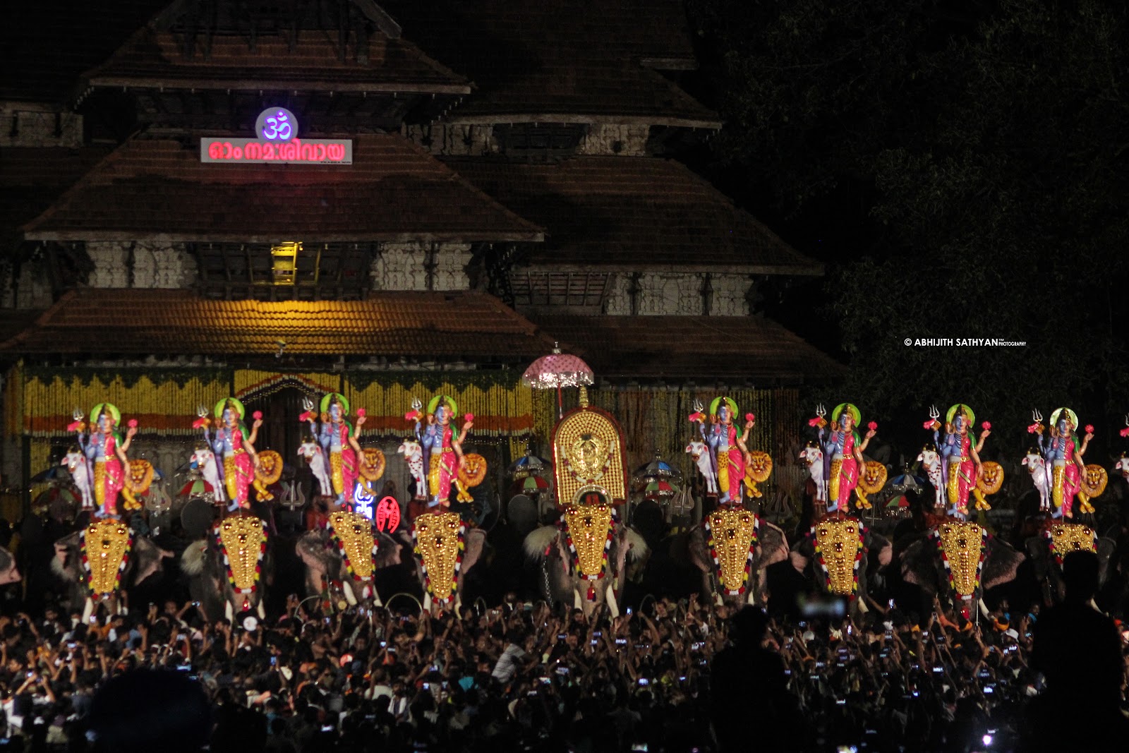 Thrissur Pooram Grounds