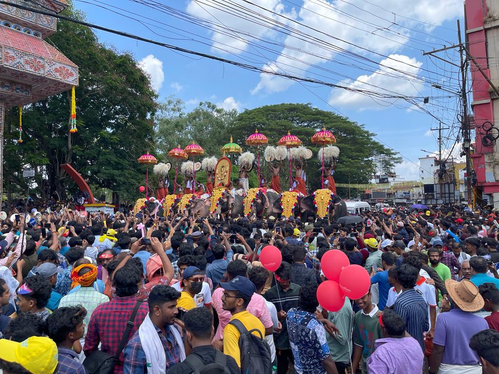 Thrissur Pooram Grounds