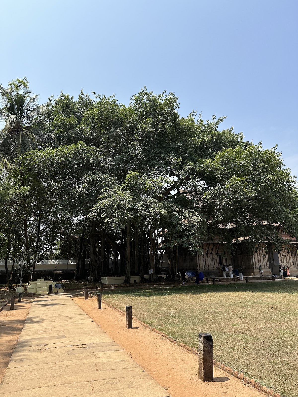 Thrissur Pooram Grounds