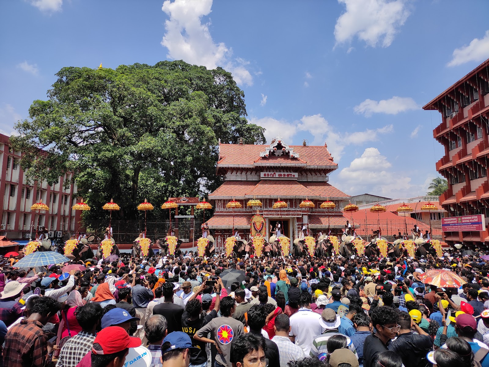 Thrissur Pooram Grounds