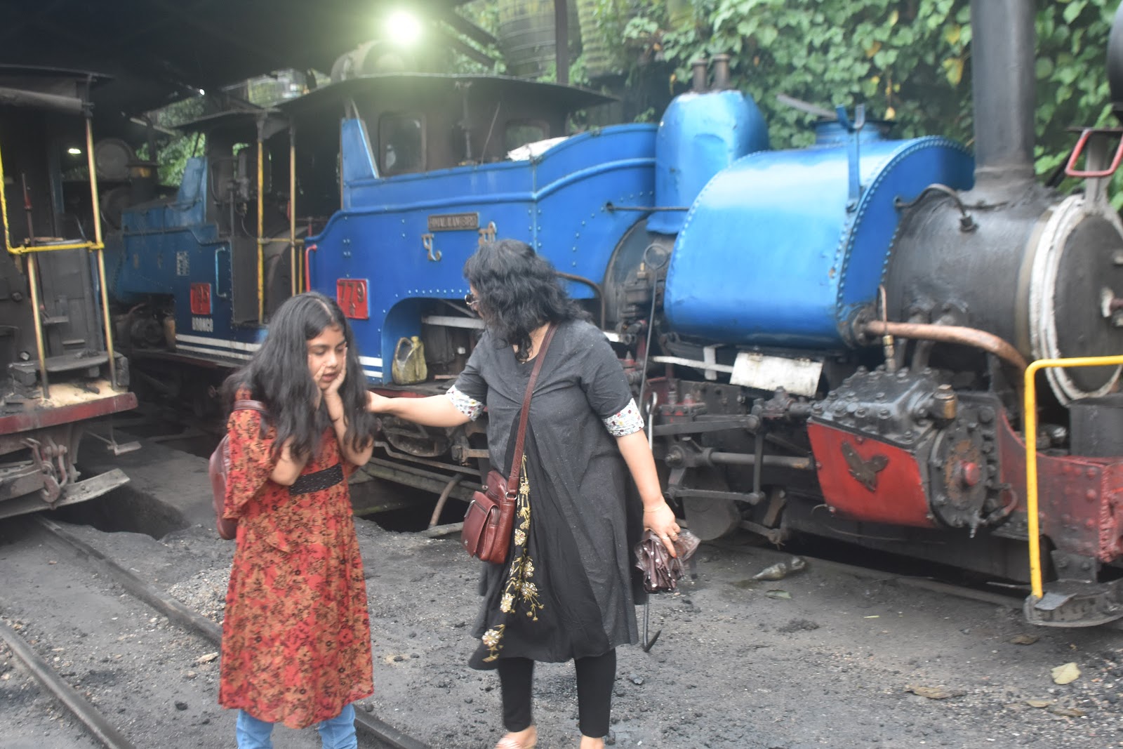 Darjeeling Himalayan Railway